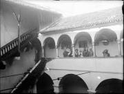 Gruppenbild (Positivo) di Ellmenreich, Albert (1917/09/03 - 1917/09/03)