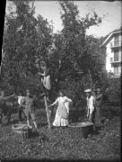 Gesellschaftsbild (Positivo) di Ellmenreich, Albert (1917/09/27 - 1917/09/27)