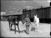 Tier (Positivo) di Ellmenreich, Albert (1918/09/21 - 1918/09/21)