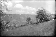 Landschaft (Positivo) di Ellmenreich, Albert (1924/04/01 - 1924/04/43)