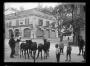 Tier (Positivo) di Ellmenreich, Albert (1918/09/05 - 1918/09/05)