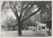 Straße (Positivo) di Ellmenreich, Albert (1936/10/01 - 1936/10/31)