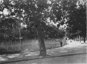 Ereignis (Positivo) di Ellmenreich, Albert (1917/05/25 - 1917/05/25)