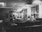 Gruppenbild (Positivo) di Ellmenreich, Albert (1917/08/82 - 1917/08/82)