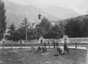 Tier (Positivo) (1917/06/21 - 1917/06/21)