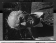 Einzelbildnis (Positivo) di Pokorny, Bruno (1925/01/01 - 1946/12/31)