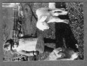 Tier (Positivo) di Pokorny, Bruno (1925/01/01 - 1946/12/31)