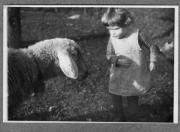 Tier (Positivo) di Pokorny, Bruno (1925/01/01 - 1946/12/31)