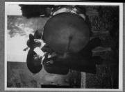 Gruppenbild (Positivo) di Pokorny, Bruno (1930/10/01 - 1930/10/31)