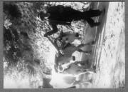 Tier (Positivo) di Pokorny, Bruno (1935/01/01 - 1935/12/31)