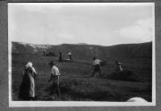 Bäuerliche Arbeit (Positivo) di Pokorny, Bruno (1925/01/01 - 1946/12/31)