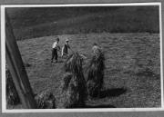 Bäuerliche Arbeit (Positivo) di Pokorny, Bruno (1925/01/01 - 1946/12/31)