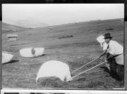 Bäuerliche Arbeit (Positivo) di Pokorny, Bruno (1925/01/01 - 1946/12/31)