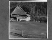 Hof (Positivo) di Pokorny, Bruno (1925/01/01 - 1946/12/31)