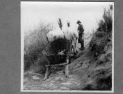 Bäuerliche Arbeit (Positivo) di Pokorny, Bruno (1925/01/01 - 1946/12/31)