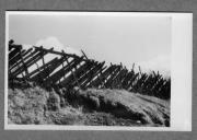 Landschaft (Positivo) di Pokorny, Bruno (1925/01/01 - 1946/12/31)