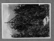 Denkmalansicht (Positivo) di Pokorny, Bruno (1925/01/01 - 1946/12/31)