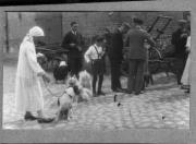 Tier (Positivo) di Pokorny, Bruno (1949/01/01 - 1965/12/31)