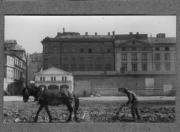 Bäuerliche Arbeit (Positivo) di Pokorny, Bruno (1949/01/01 - 1965/12/31)