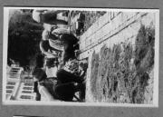 Beruf (Positivo) di Pokorny, Bruno (1925/01/01 - 1946/12/31)