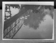 Tier (Positivo) di Pokorny, Bruno (1925/01/01 - 1965/12/31)