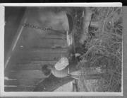 Bäuerliche Arbeit (Positivo) di Pokorny, Bruno (1925/01/01 - 1946/12/31)