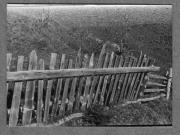 Landschaft (Positivo) di Pokorny, Bruno (1925/01/01 - 1946/12/31)