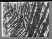 Landschaft (Positivo) di Pokorny, Bruno (1925/01/01 - 1946/12/31)