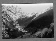 Landschaft (Positivo) di Pokorny, Bruno (1925/01/01 - 1946/12/31)