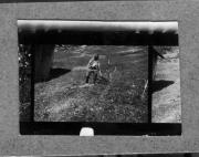 Bäuerliche Arbeit (Positivo) di Pokorny, Bruno (1925/01/01 - 1946/12/31)