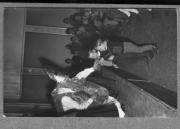 Ereignis (Positivo) (1949/01/01 - 1960/12/31)