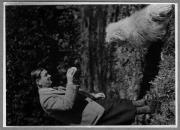 Tier (Positivo) (1956/01/01 - 1956/12/31)