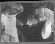 Tier (Positivo) di Pokorny, Bruno (1925/01/01 - 1946/12/31)