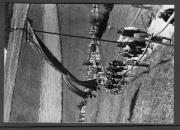 Prozession (Positivo) di Pokorny, Bruno (1925/01/01 - 1946/12/31)