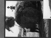 Bäuerliche Arbeit (Positivo) di Pokorny, Bruno (1925/01/01 - 1946/12/31)