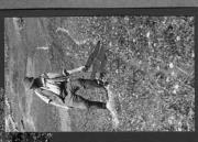 Bäuerliche Arbeit (Positivo) di Pokorny, Bruno (1925/01/01 - 1946/12/31)