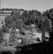 Sägewerk Gummer (Positivo) di de Vries, Gideon (2002/08/19 - 2002/08/19)