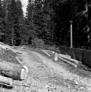 Rodelbahn (Positivo) di de Vries, Gideon (2003/08/22 - 2003/08/22)