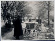 Ereignis (Positivo) di Ellmenreich, Albert (1917/02/09 - 1917/02/09)