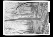 Landschaft (Positivo) di Knoll, Wolfram (1939/01/01 - 1939/12/31)