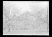 Landschaft (Positivo) di Knoll, Wolfram (1939/01/01 - 1939/12/31)