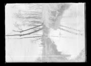 Gewässer (Positivo) di Knoll, Wolfram (1939/01/01 - 1939/12/31)