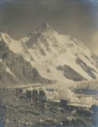 Berg (Positivo) (1909/01/01 - 1909/12/31)