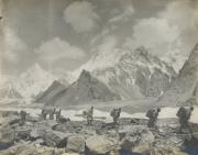 Berg (Positivo) (1909/01/01 - 1909/12/31)