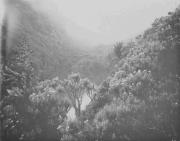 Landschaft (Positivo) (1909/01/01 - 1909/12/31)