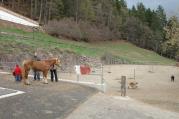 cavallo (Positivo) di de Vries, Gideon (2006/04/26 - 2006/04/26)