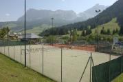 campo da Tennis (Positivo) di de Vries, Gideon (2006/06/19 - 2006/06/19)