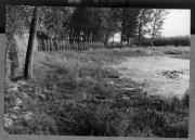 Profanbau (Positivo) (1976/03/26 - 1976/03/26)