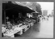 Ereignis (Positivo) (1984/09/05 - 1984/09/05)