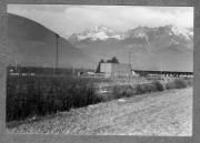 Profanbau (Positivo) (1975/01/01 - 1990/12/31)